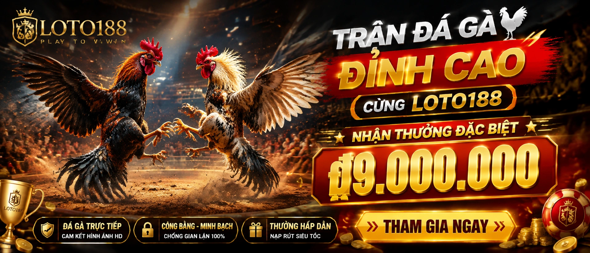 Đá Gà Trực Tiếp trên loto188.com.vc